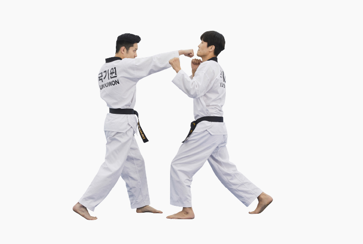 겨루기 지르기 사진